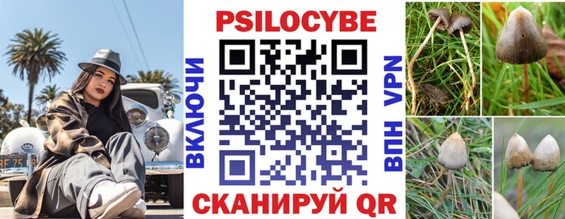 Псилоцибиновые грибы MAGIC MUSHROOMS  Купить закладки  Новый Оскол 